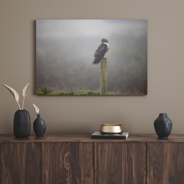 Lærredstryk Dyr Fugl Høg 70x50 cm