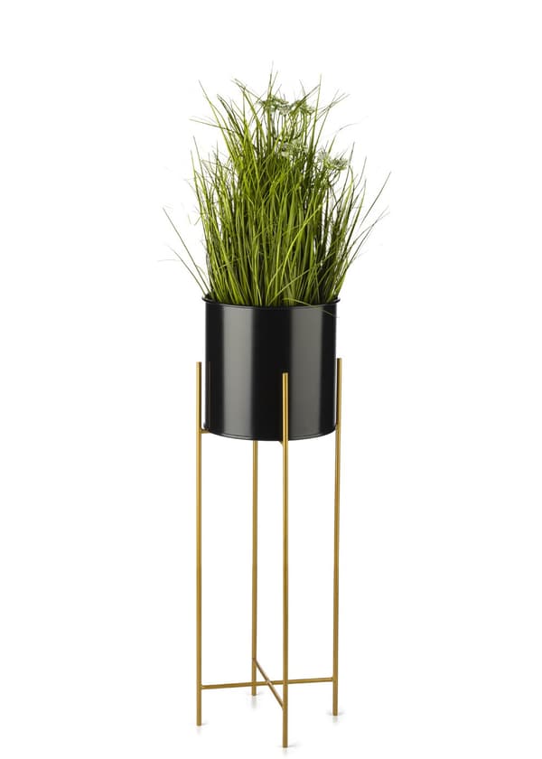 Kukkateline kannella 75 cm kullanmusta