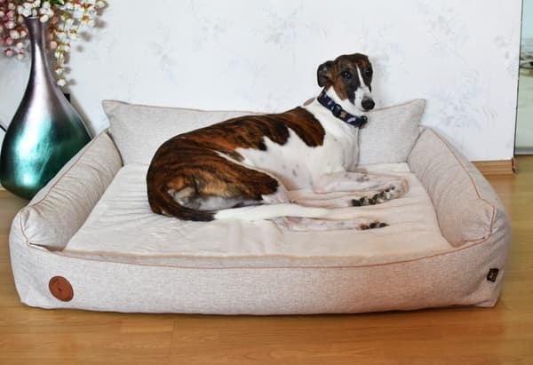 Rocky ortopædisk beige lang seng - 97 cm x 86 cm