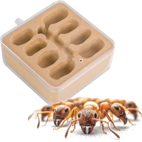 Ant Expert New World - ekstra redeplads