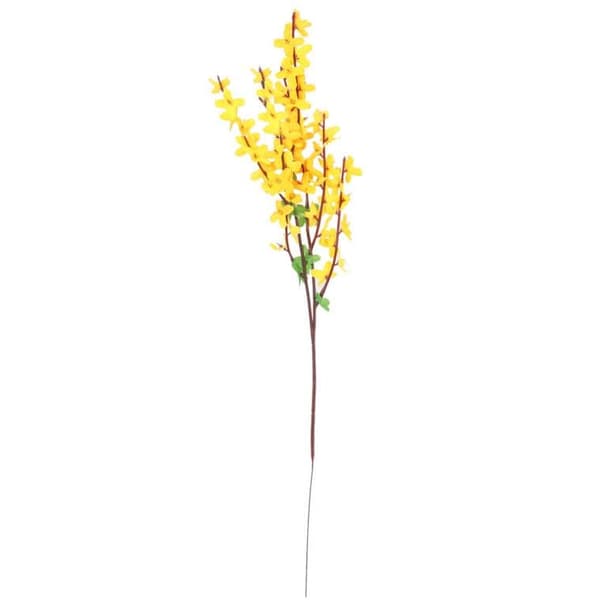 FORSYTCIA-GREN 58 cm GUL