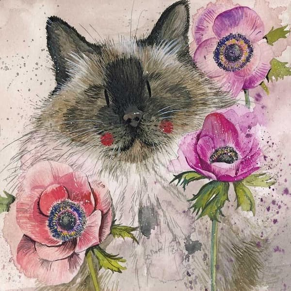 AC810 Kat i blomsterpasset