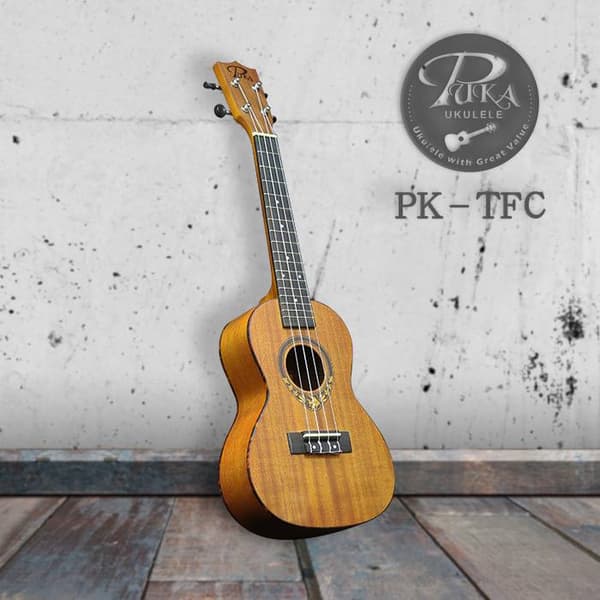 Ukulele PUKA PK-TFC konsertti