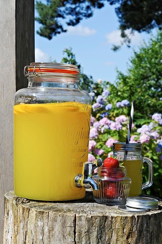 Drikkedispenser 8 l. Original / Kilner
