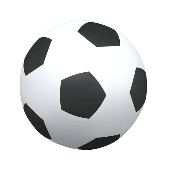 vidaXL 2-i-1 børnefodboldmål med bolde hvid
