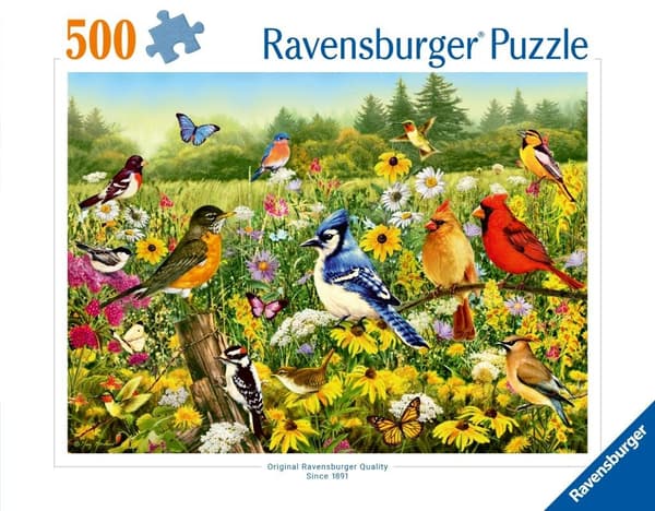 2D-palapeli: Linnut 500 palaa