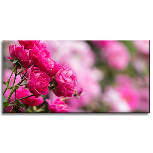 Canvastavla Botaniska Rosa Rosor 80x40 cm