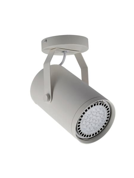 Spotboks CL 20040-WH
