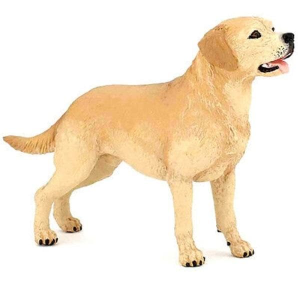 labradorinnoutaja