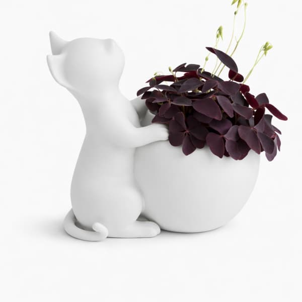 Urtepotte med kat, hvidt låg til dekorative planter