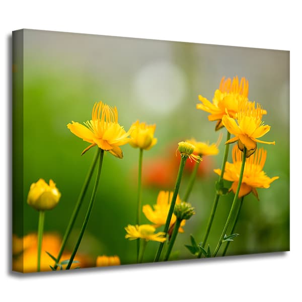 Lærredstryk Botanik Gule blomster 40x30 cm