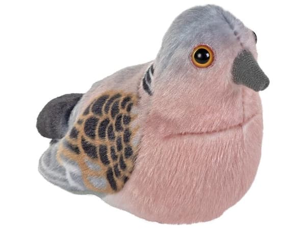 Turteldue