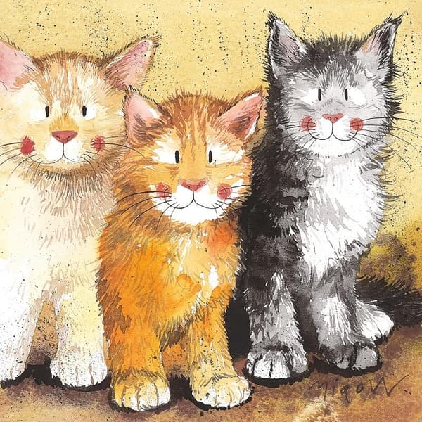 C18 Tre kattungar muggunderlägg