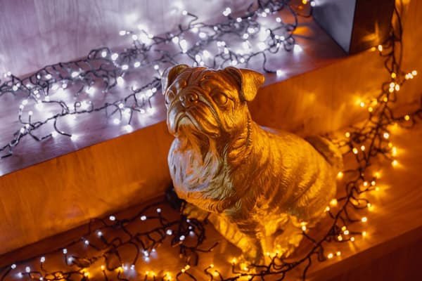Twinkly Cluster 400 LED varmvit svart strömkabel EU typ 6 m