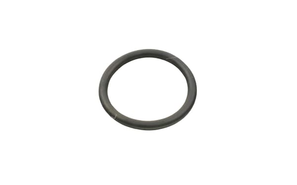 FT49934 VATTENPUMP SNABB O-RING