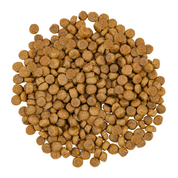Savory Premium torrfoder för vuxna katter, lax, vit fisk, 400 g