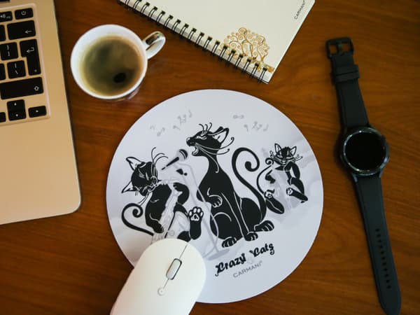 Datormusmatta - Kattvärlden, Kattteamet (CARMANI)
