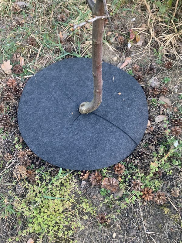 Set med 3 ogräsklipparskivor, mulching, grå, diameter 26 cm