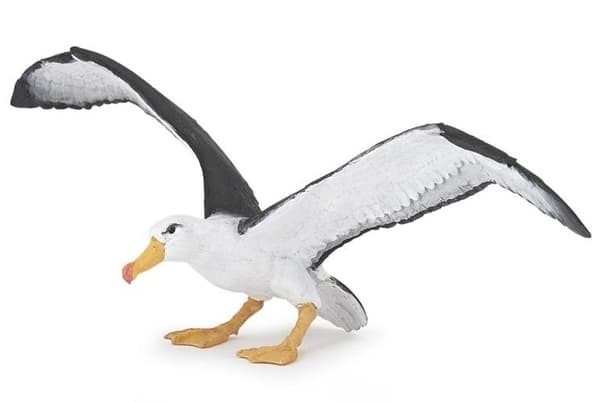 Albatrossen