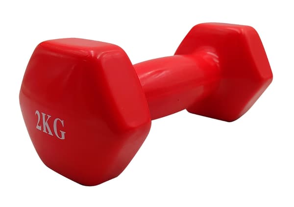 Belagd gjutjärnshantel 2 kg