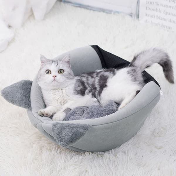 AMBER GRAY katthus storlek L