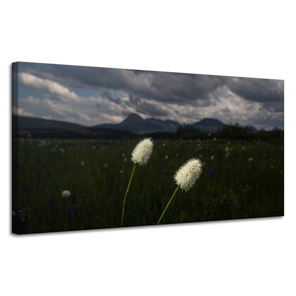 Lærredstryk Natur Vilde Blomster 120x60 cm