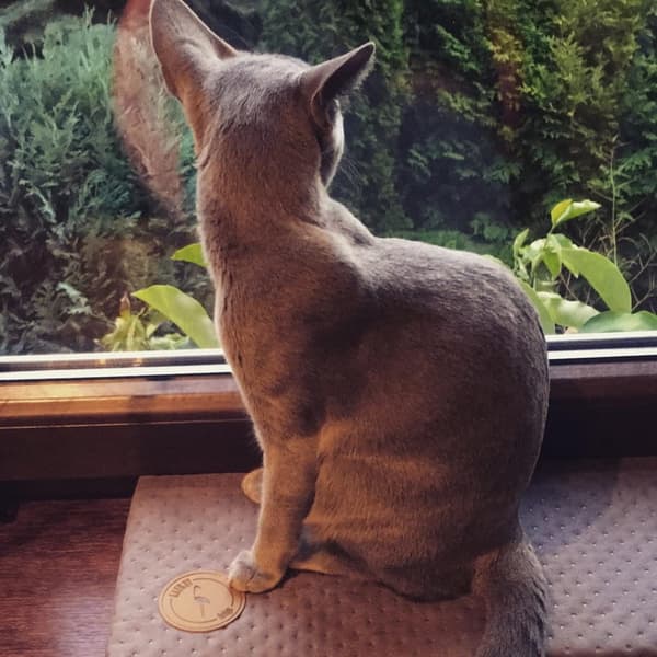 CLEO fönsterbräda, grå, quiltad, 100 x 20 x 3 cm