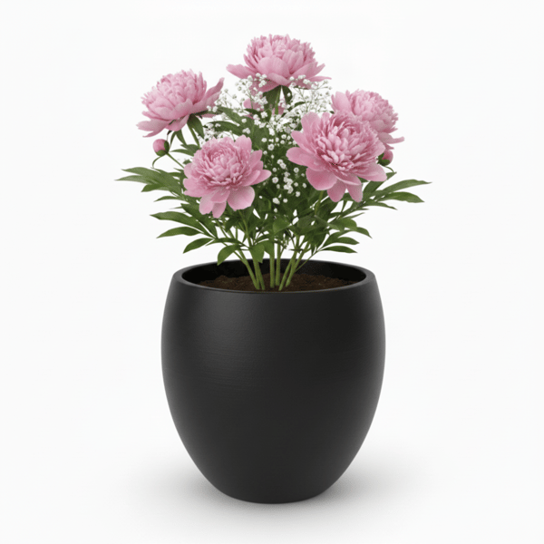 Moderne stor sort plantepotte til hjemme- og kontorplanter