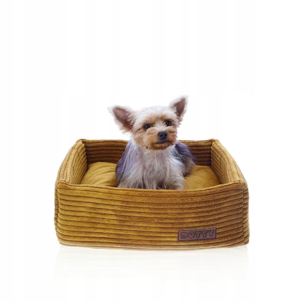 Hundeseng til kat, sofa til hund, DOTTY honninggul corduroy