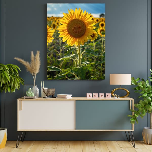 Canvastavla Botanik Solrosfält 80x120