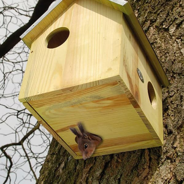 Ekorrhus med tre hål