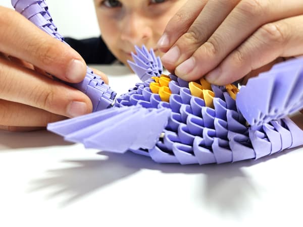 3D Origami. Plesiosaur