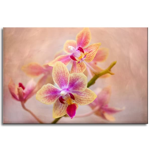Lærredstryk Botanik Blomst Orkidé 90x60 cm