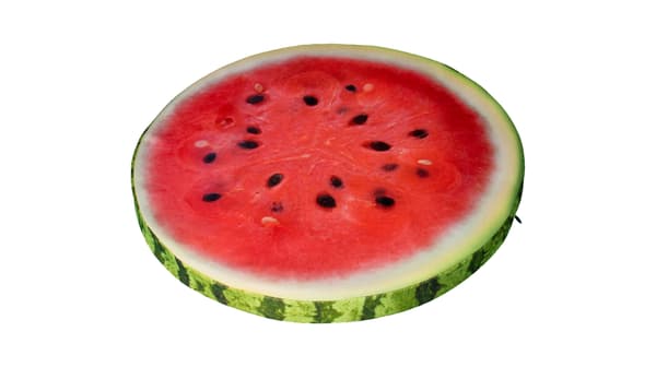 RING stolskudde VATTENMELON