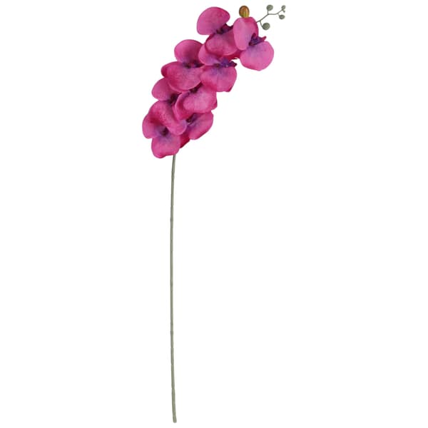 ORKIDEANOKSEN 90 cm VÄRI tummanpunainen