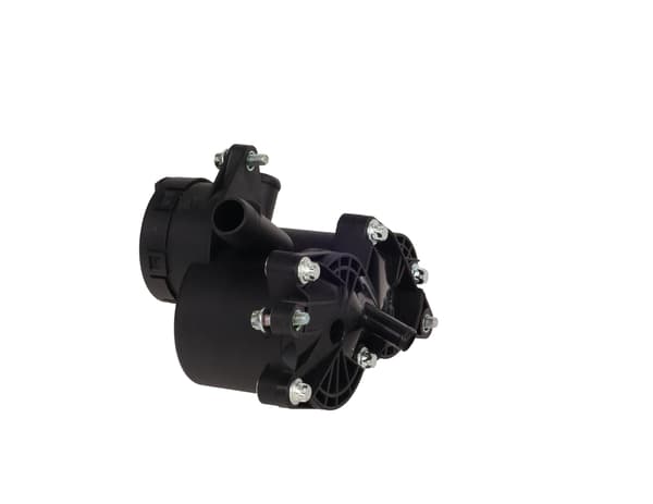 FT04382 SNABB EMPH