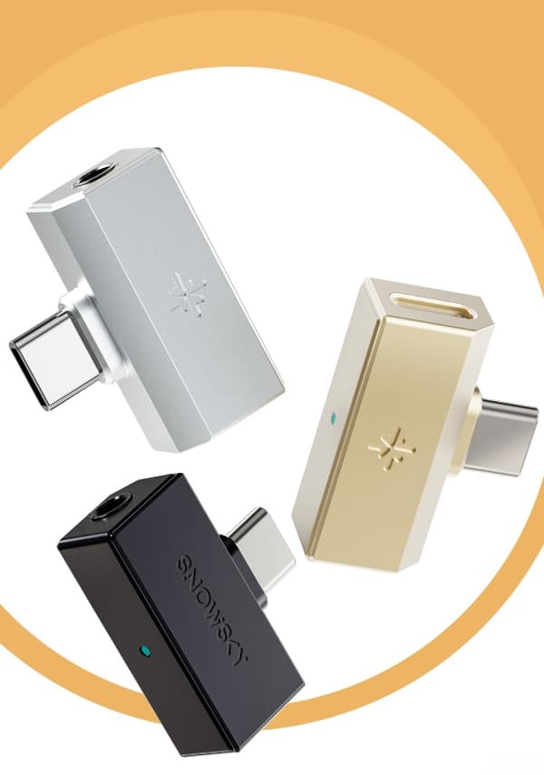 FiiO x SNOWSKY Tiny B - sort - hovedtelefonforstærker med DAC (3.5mm +4.4mm stik)