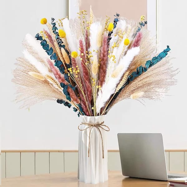 Tørrede blomster Pompasowa græs 100 stk