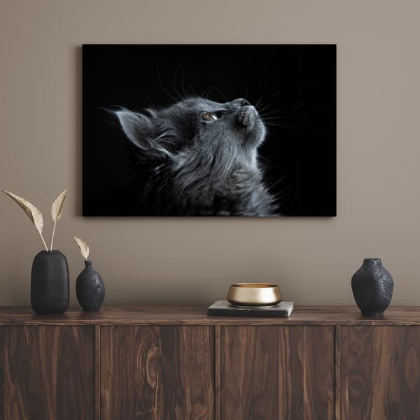 Canvastavla Djur Persisk katt 80x50 cm
