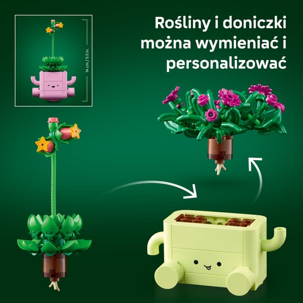 LEGO Botanicals Gyngeplanter 253-delt sæt (11506)