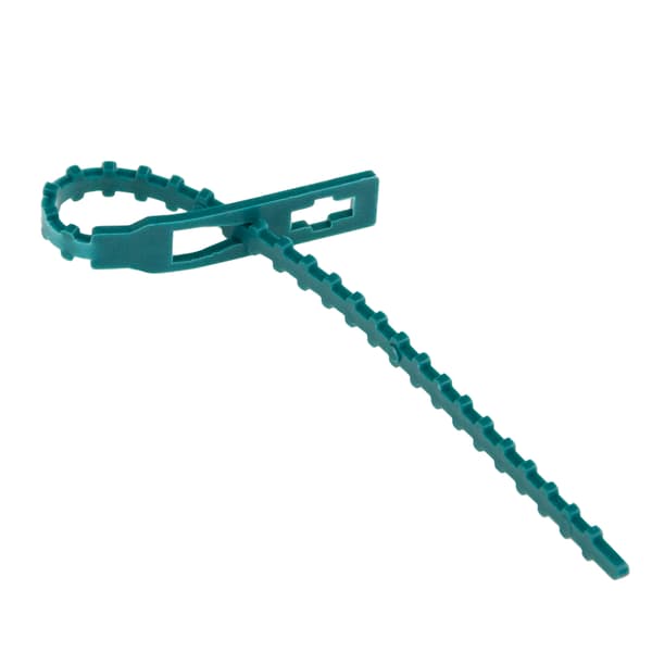 TG77620 VÄXTBAND 50 ST.