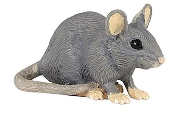 Sork