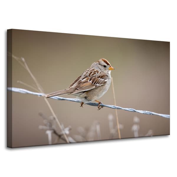 Lærredstryk Dyr Spurv 100x60 cm