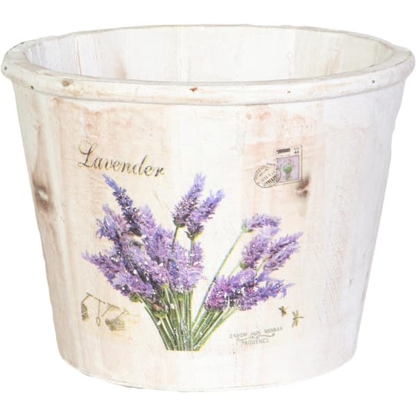 Dekorative lavendelplanter i hvid spand