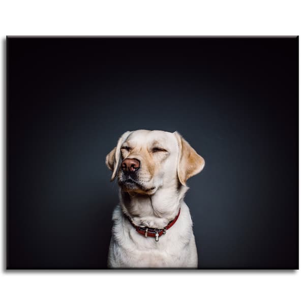 Lærredstryk Dyr Hund Sort baggrund 50X40