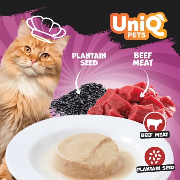 Våtfoder för katter Nötköttspaté med kaka Delicious Pâté UniQ Pets 8x30g