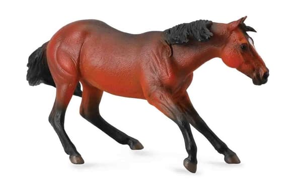 Brunfärgad Quarter Horse-sto