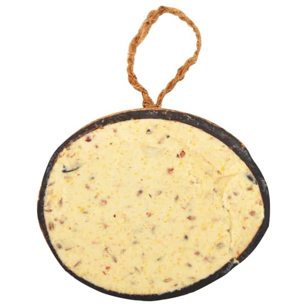 vidaXL fuglefoder i kokoshalvdele, 10 stk., 290 g