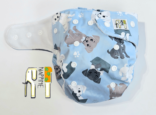 NappiMe Coolmax Pocket Hundblöjor, blå