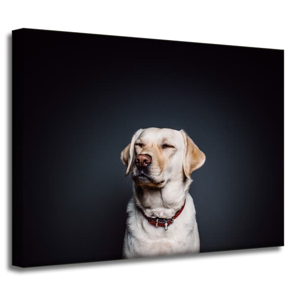 Lærredstryk Dyr Hund Sort baggrund 40X30